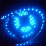 Лента светодиодная 12V  5 м.300 SMD BLUE (8 х 2,7 мм. влагостойкая)